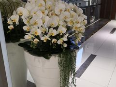 -远洋未来广场(育慧北路店)