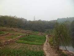 虎塘塔影-巢湖姥山岛