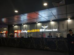 -金吉鸟健身游泳