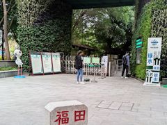 -华侨城湿地公园