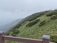 -凤凰山国家森林公园