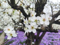 -江苏三台山国家森林公园