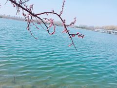 -大兴滨河森林公园