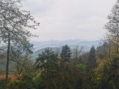 -莫干山风景区