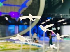 -深圳市当代艺术与城市规划馆