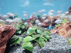 -石家庄海洋公园