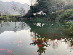 -中国茶叶博物馆(双峰馆区)