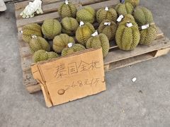 -海吉星市场