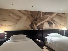 -国家会议中心大酒店