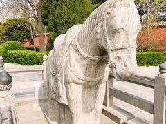 -洛阳白马寺