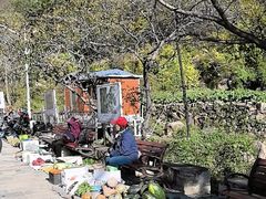 -大岭沟猕猴桃谷风景区