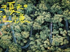 -灵栖洞天
