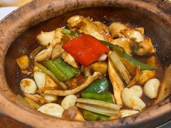 -天宝食坊·啫啫煲大排档(西华路店)