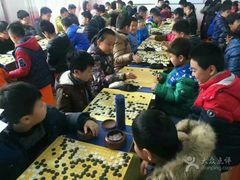 -弈星围棋(新源路校区)