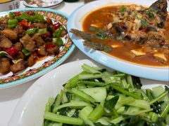 -煲来饱去冷水鱼