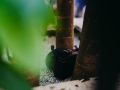 -Line 咖啡(石厦花园店)