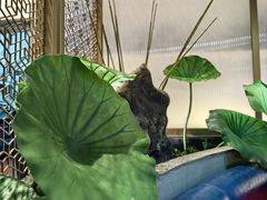 -新辣道鱼火锅(航天万源店)