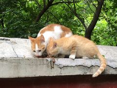 -天津盘山风景名胜区