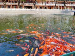 -广东圆玄道观
