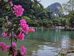 -靖西鹅泉风景区