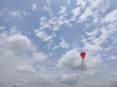 -光明小镇欢乐田园