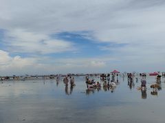-江山半岛白浪滩景区
