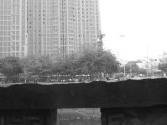 IMG_8524-望江楼公园