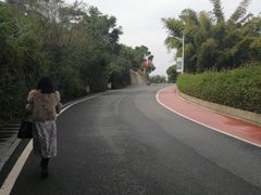-仙岳公园