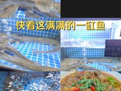 -老粮票大食堂(灌江路店)