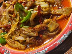 -柴窝堡22号辣子鸡·传承新疆菜