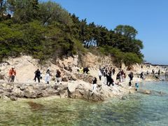 -养马岛旅游度假区