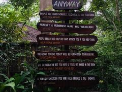 -卷心菜和避孕套餐厅(Pattaya)