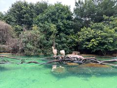 -珠海长隆海洋王国