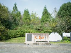 -天目山大树王景区