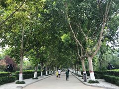 -赵州桥景区