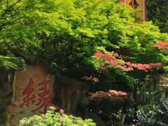 -杭州黄龙洞
