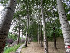 -元大都城垣遗址公园