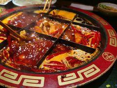 -矮板凳老火锅(宽窄巷子店)