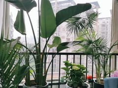 -爱乐蒙艺术·古筝 钢琴 声乐(科华校区)