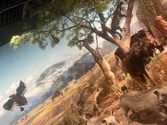 -陕西自然博物馆