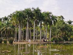 -中国科学院西双版纳热带植物园