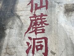-仙蘑洞