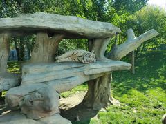 -北京野生动物园