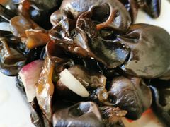 拌木耳-东方宫中国兰州牛肉拉面(新起街店)