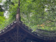 -天台山景区