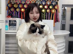 -青奢宠物·青奢猫舍