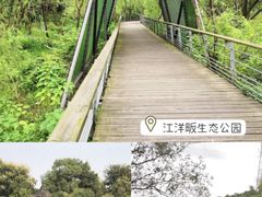 -八卦田遗址公园