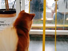 -五进制 Coffee Shop