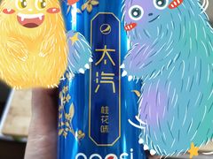 -鹏欣水游城