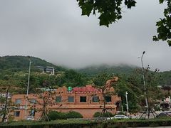 -石老人观光园
